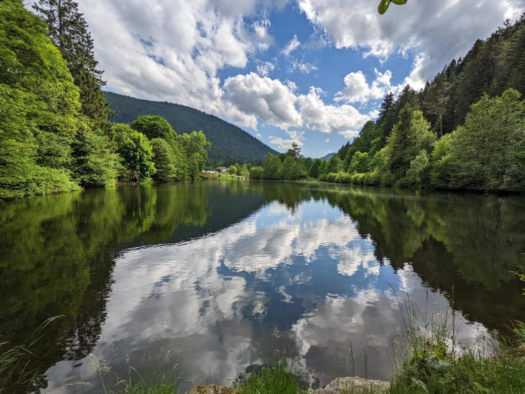 Le Renard Des Vosges Villa La Croix-aux-Mines Bagian luar foto