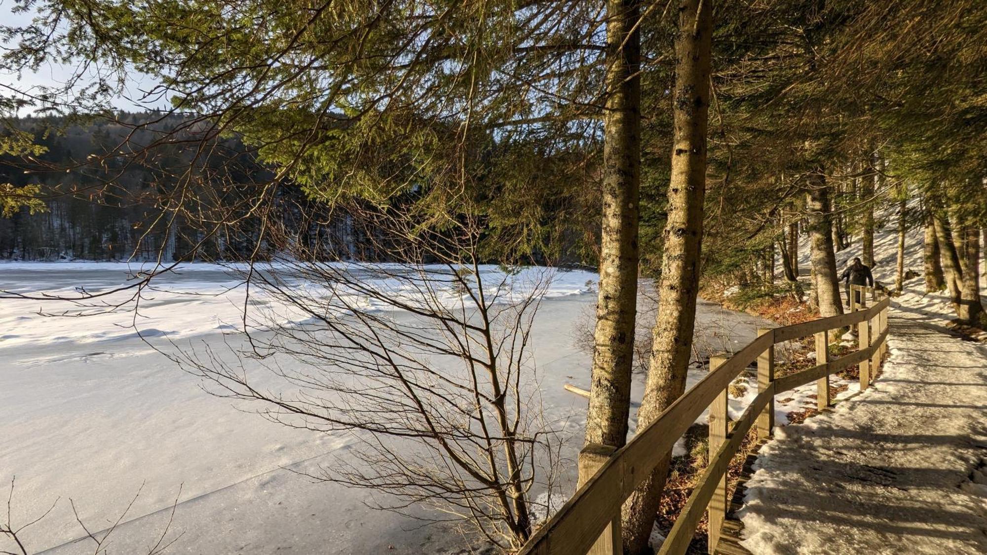 Le Renard Des Vosges Villa La Croix-aux-Mines Bagian luar foto