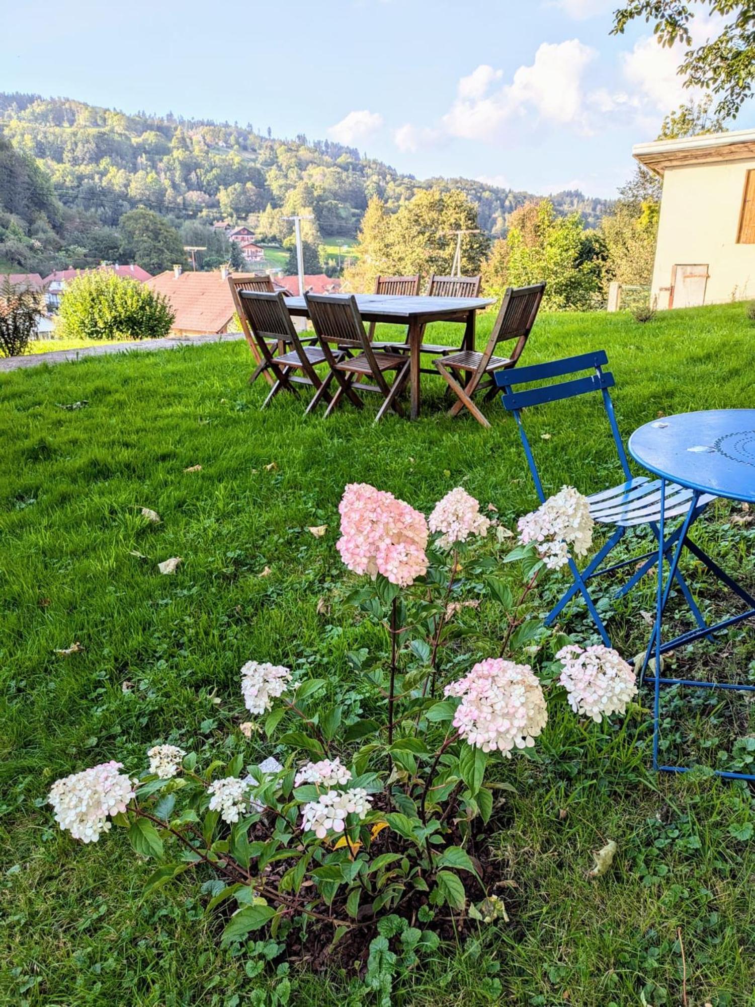 Le Renard Des Vosges Villa La Croix-aux-Mines Bagian luar foto